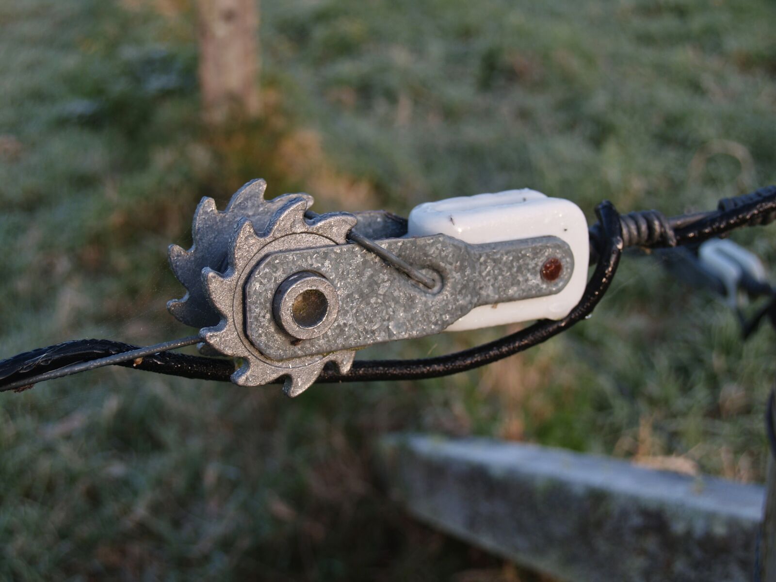 Olympus E-300 (EVOLT E-300) sample photo. Fence tensioner, electric fence photography