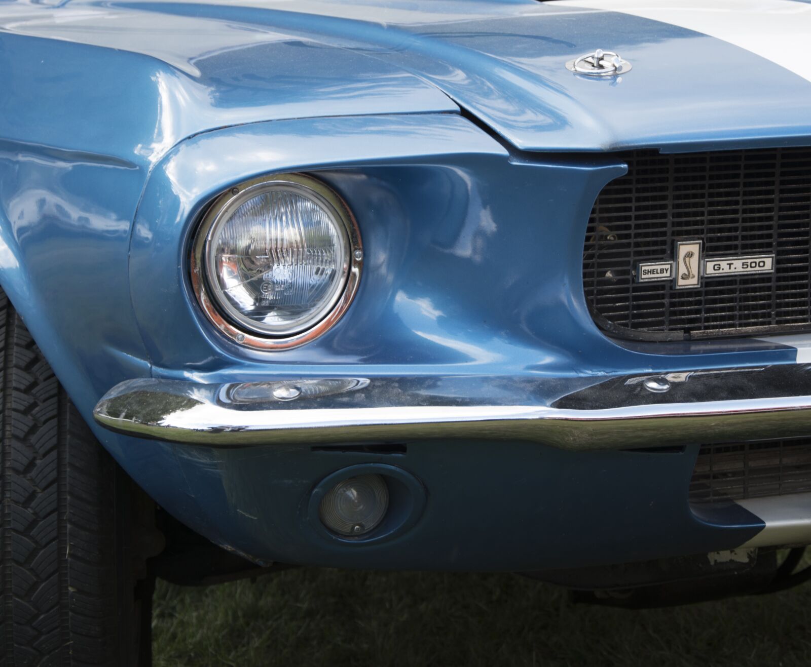 Nikon D5500 sample photo. Shelby mustang, car, auto photography