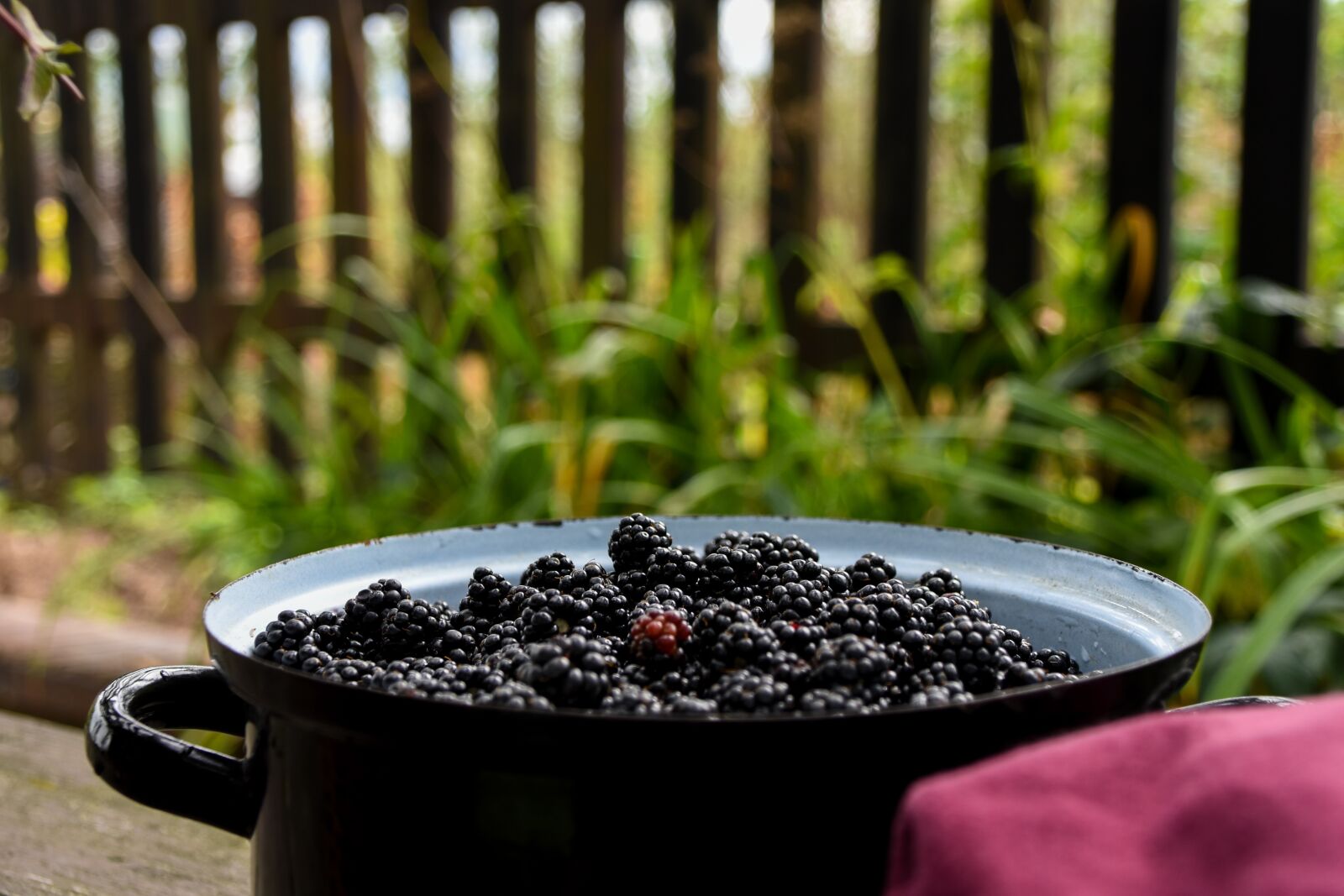 Tamron 18-200mm F3.5-6.3 Di II VC sample photo. Blackberries, pot, container photography