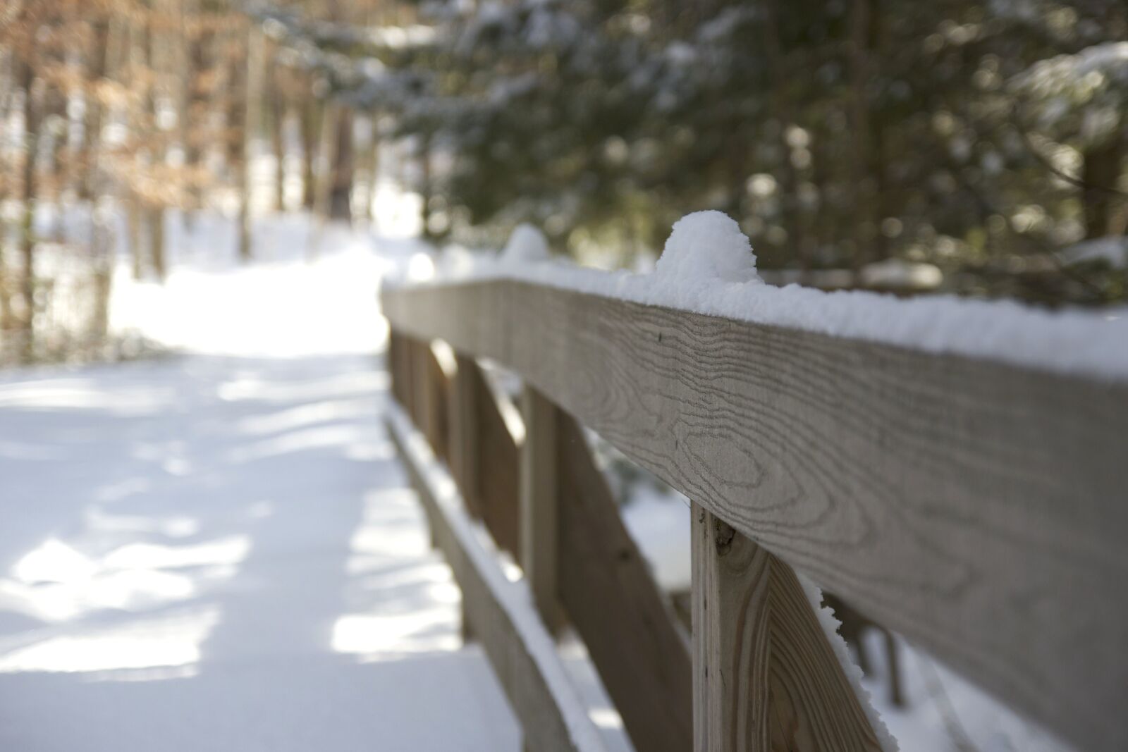 Canon EOS 550D (EOS Rebel T2i / EOS Kiss X4) sample photo. Wooden fence, winter, snow photography