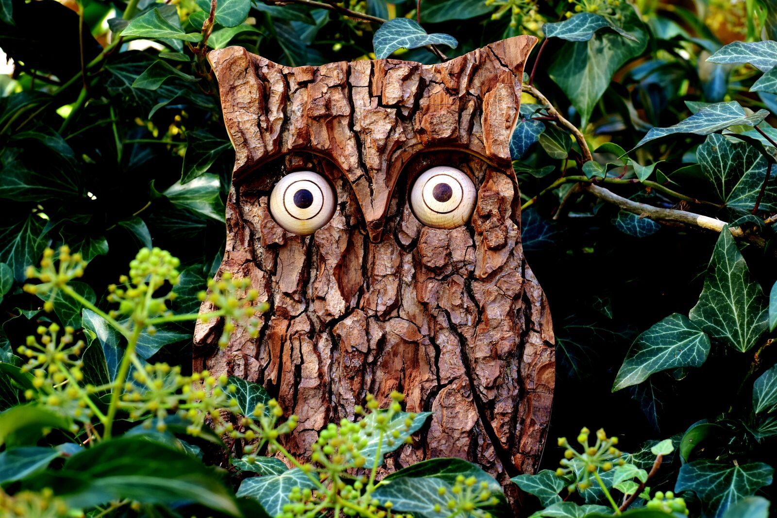 Nikon D7200 sample photo. Owl, tree bark, nature photography