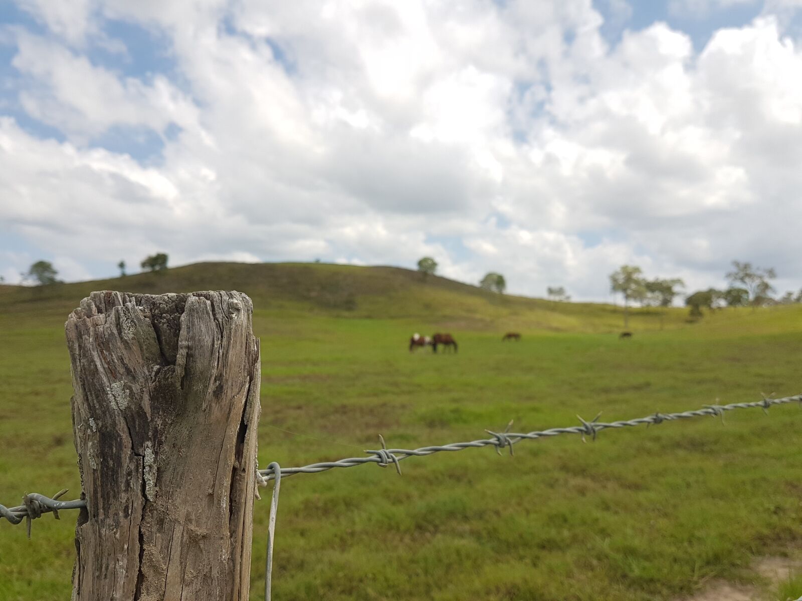 Samsung Galaxy S7 sample photo. Country side, nature, country photography