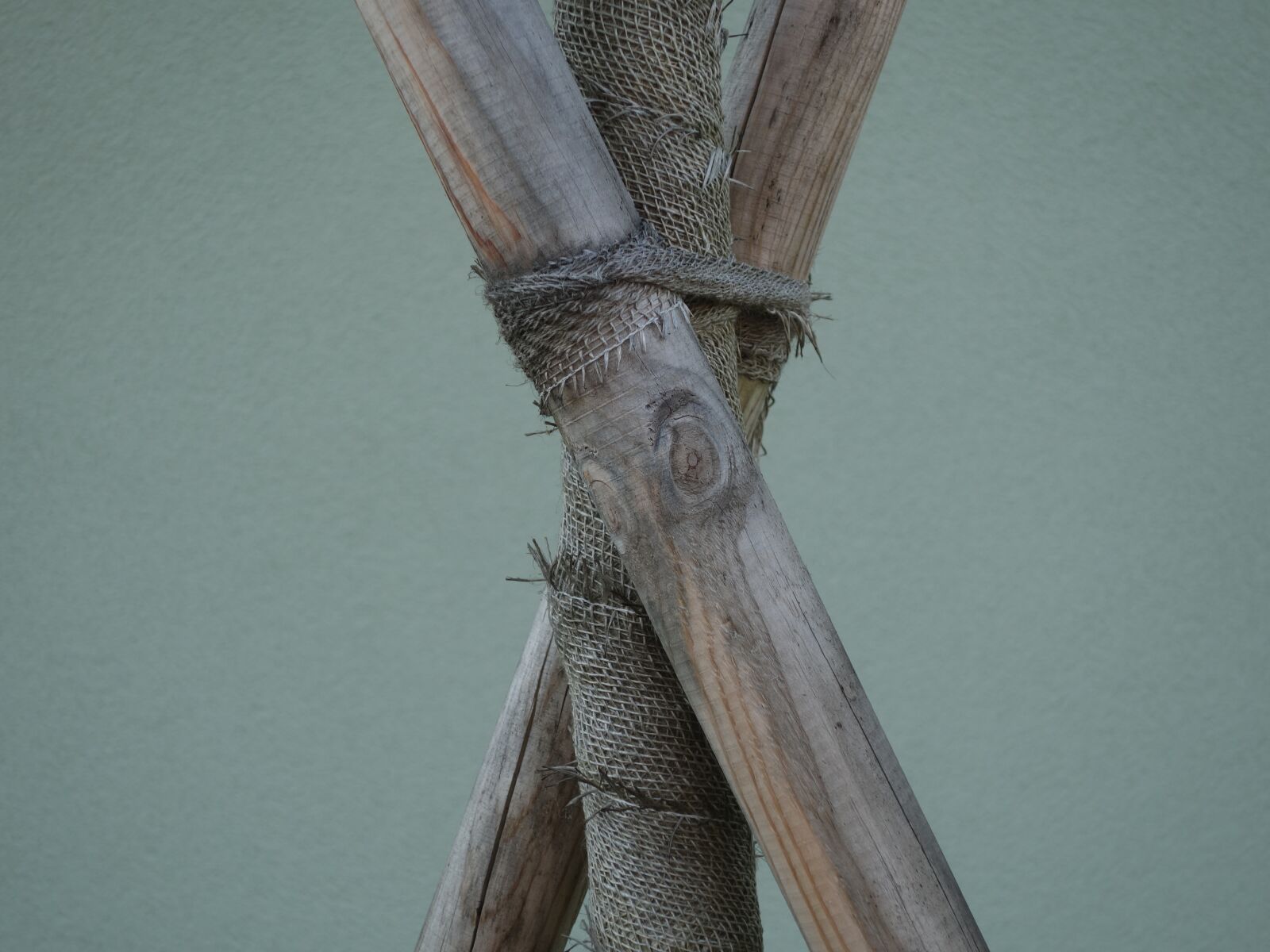 Sony Cyber-shot DSC-RX100 II sample photo. Log, supported, bound photography