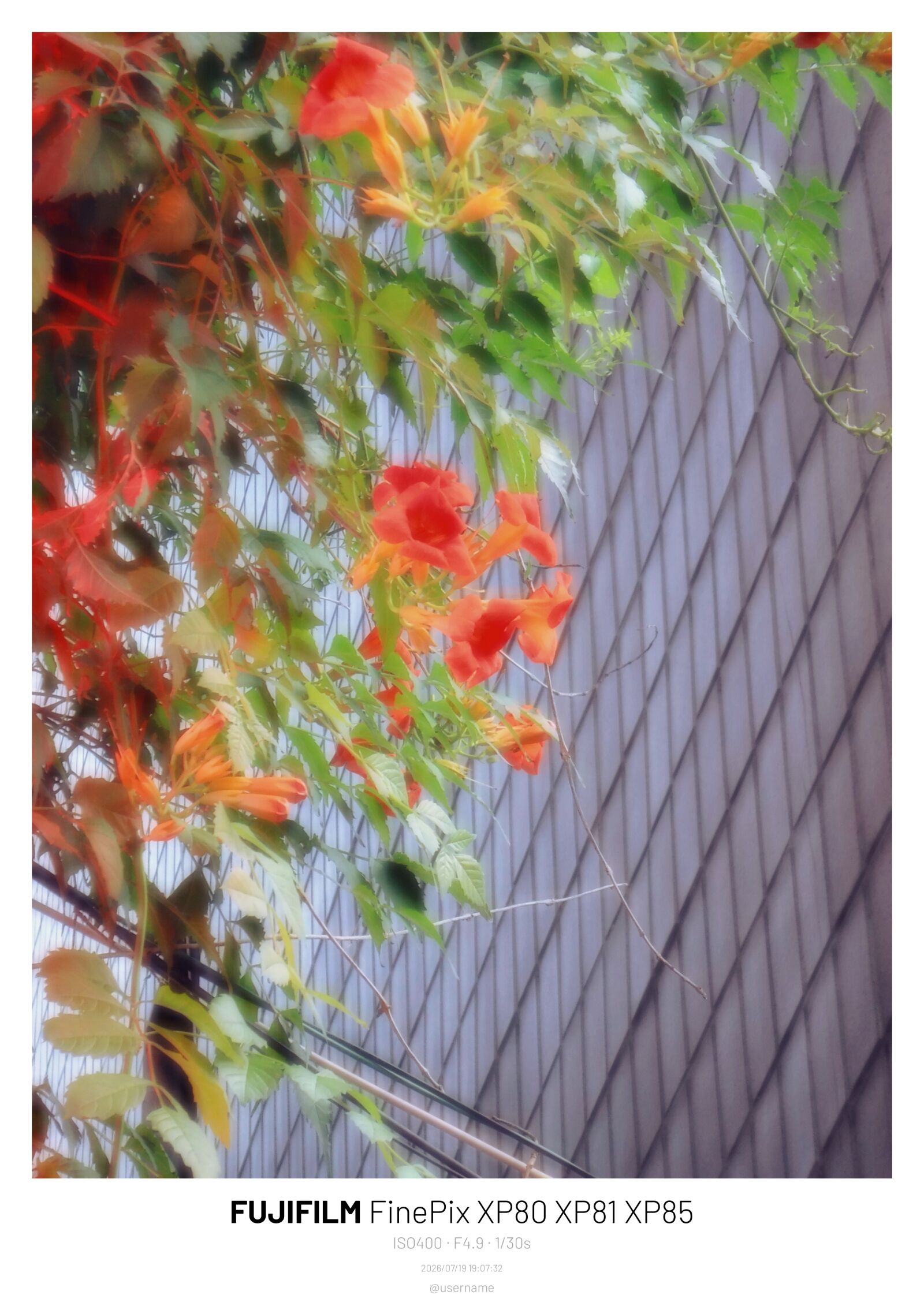 Fujifilm FinePix XP80 XP81 XP85 sample photo