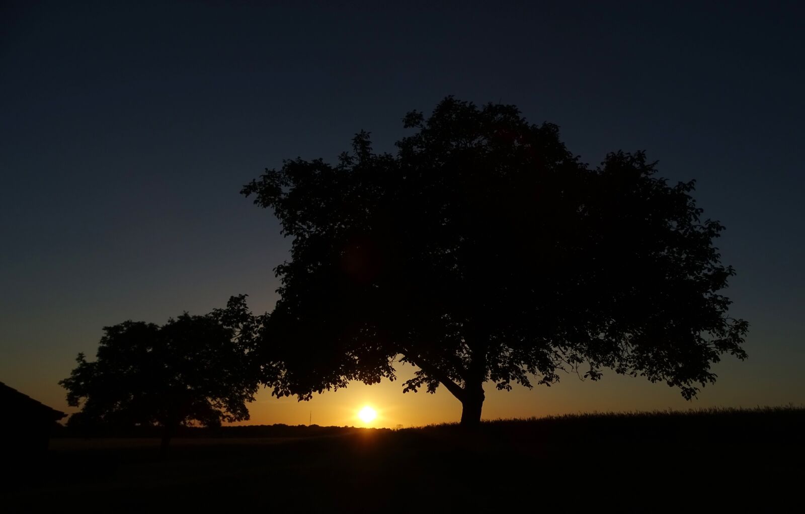Sony Cyber-shot DSC-HX400V sample photo. Sunset, tree, landscape photography