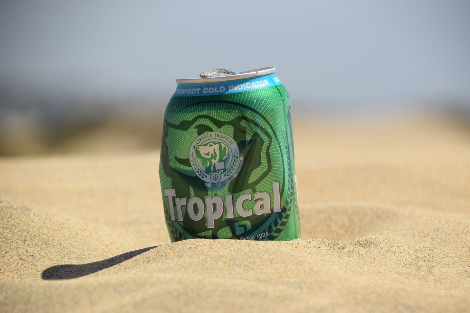 Nikon D3300 sample photo. Beer, beer can, beach photography