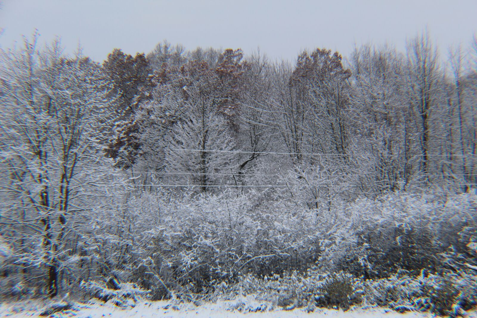 Canon EOS 1300D (EOS Rebel T6 / EOS Kiss X80) sample photo. Michigan winter, white, snow photography