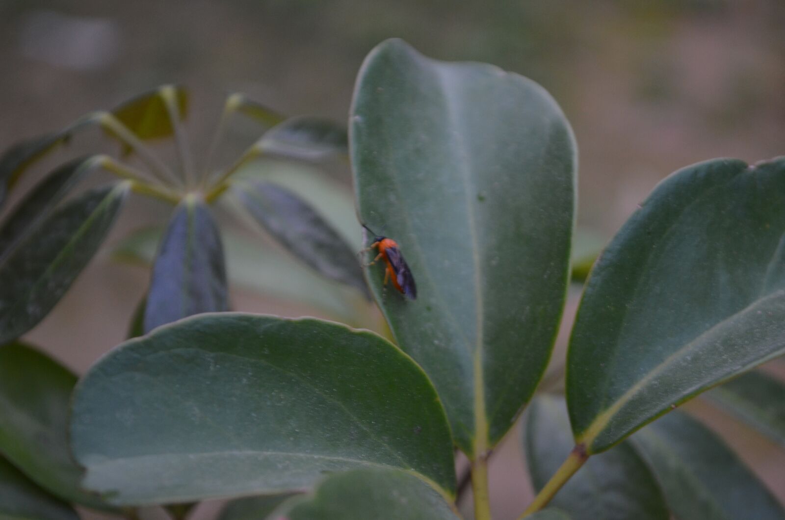 Nikon D5100 sample photo. People, nature, landscape photography