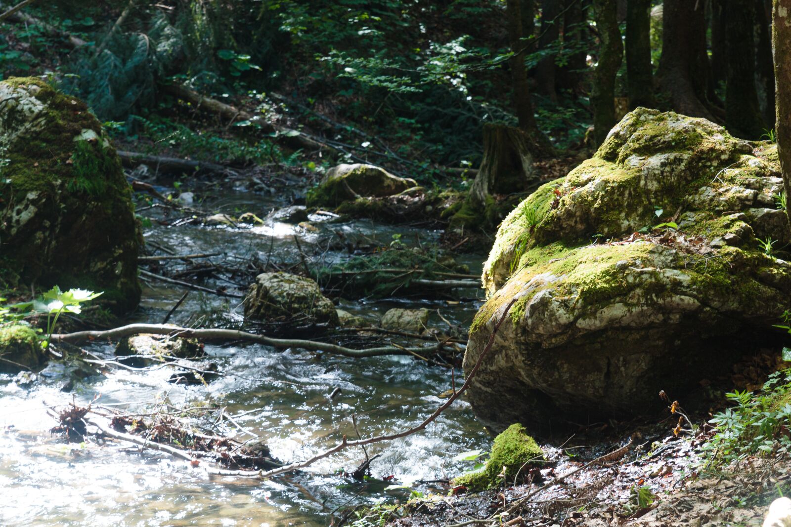 Canon EOS 70D sample photo. Water, rock, river photography