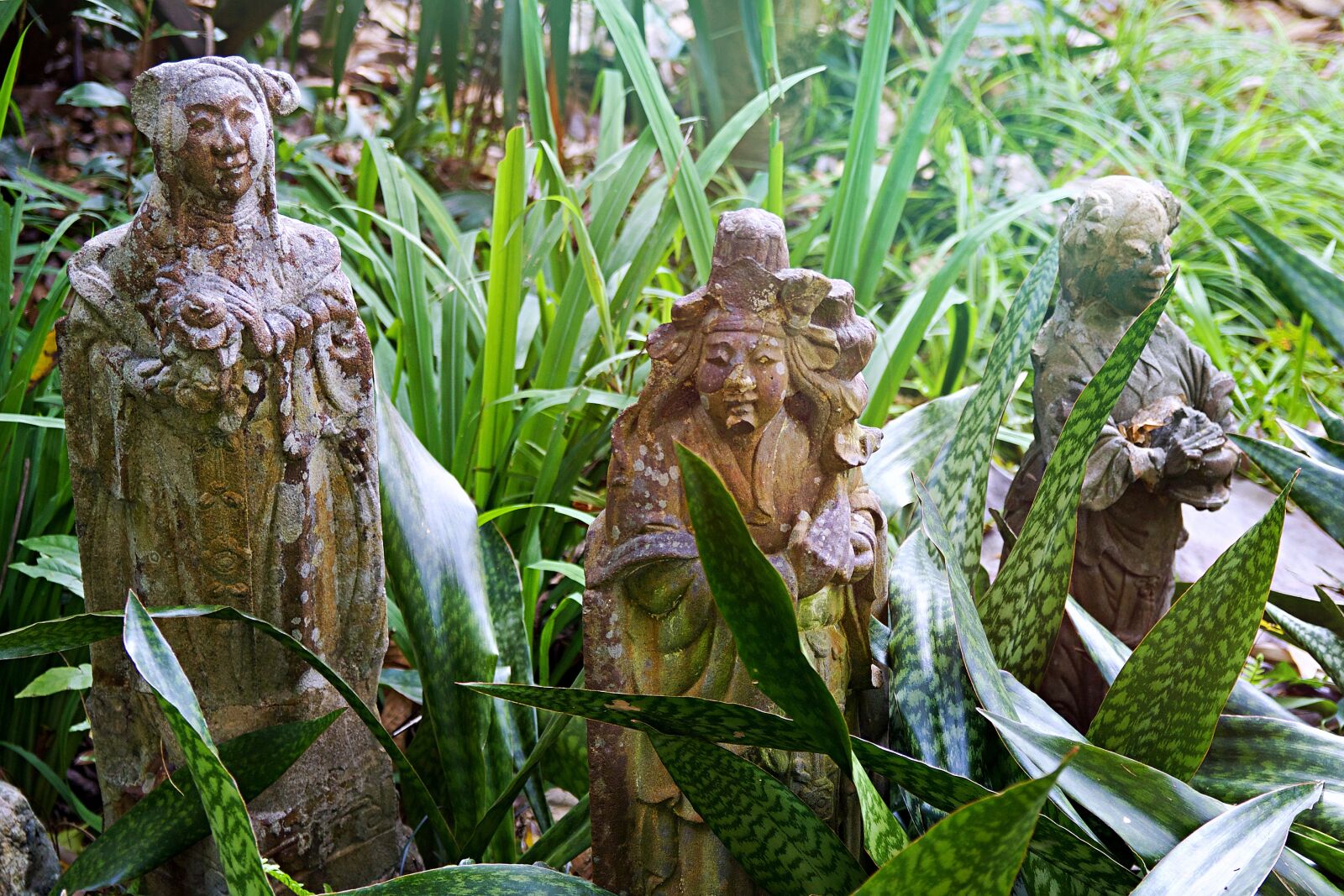 Canon EOS 600D (Rebel EOS T3i / EOS Kiss X5) sample photo. Thailand, chiang rai, museum photography