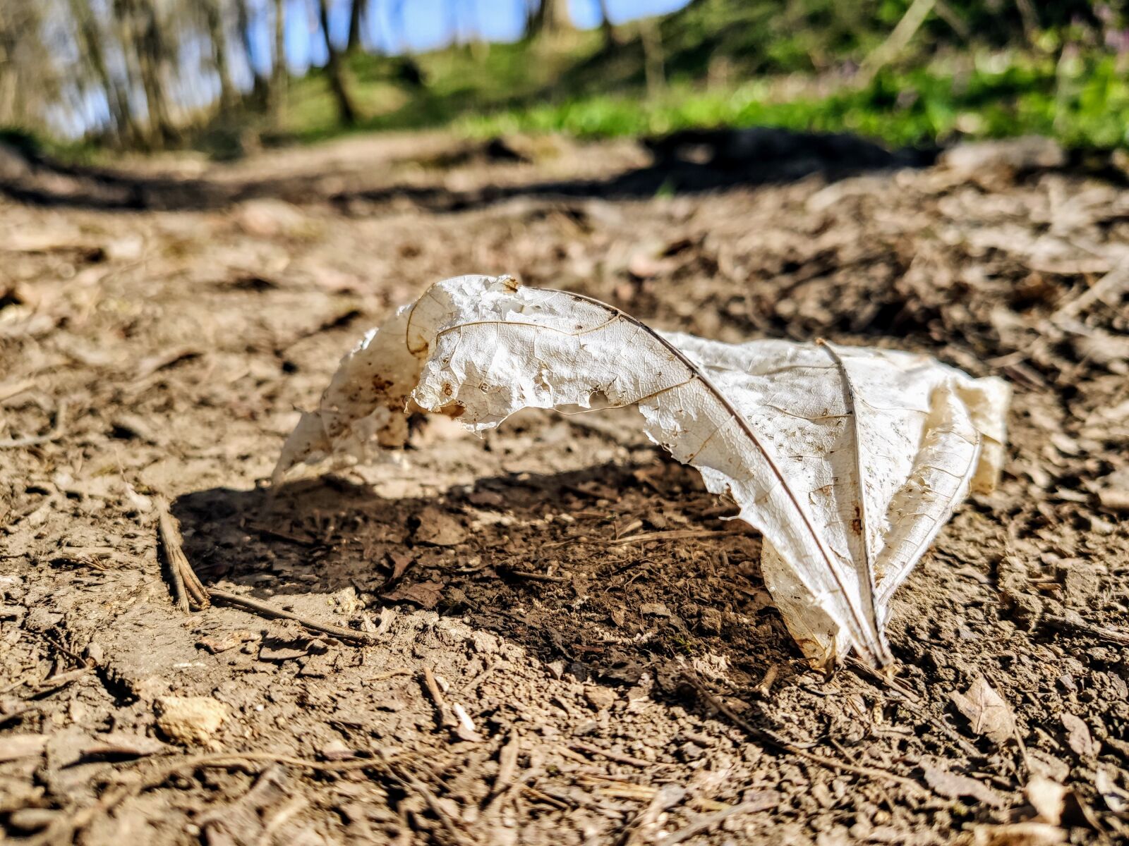Xiaomi MI 9 sample photo. Leaf, heart, withered photography