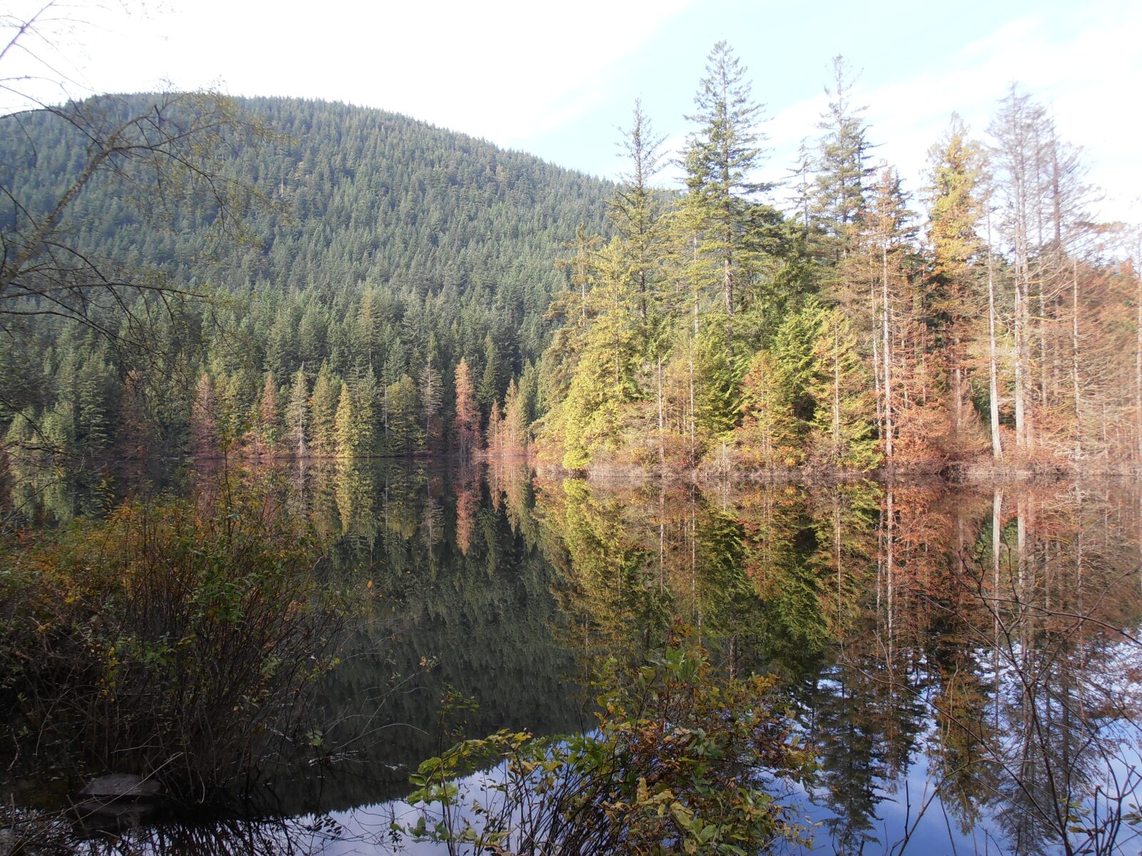 Olympus VR310,D720 sample photo. Reflections, trees, lake photography