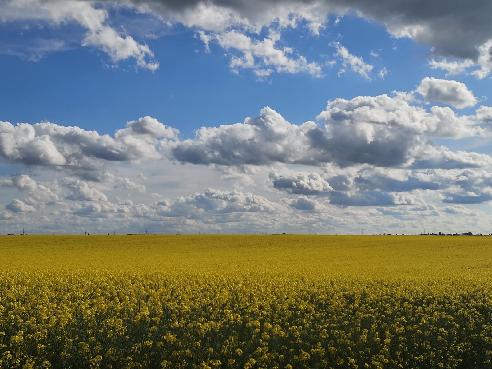 HUAWEI P20 sample photo. Landscape, rape, clouds photography