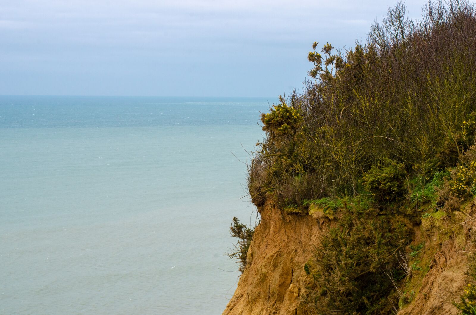 Nikon D7000 sample photo. Normandy, country of caux photography