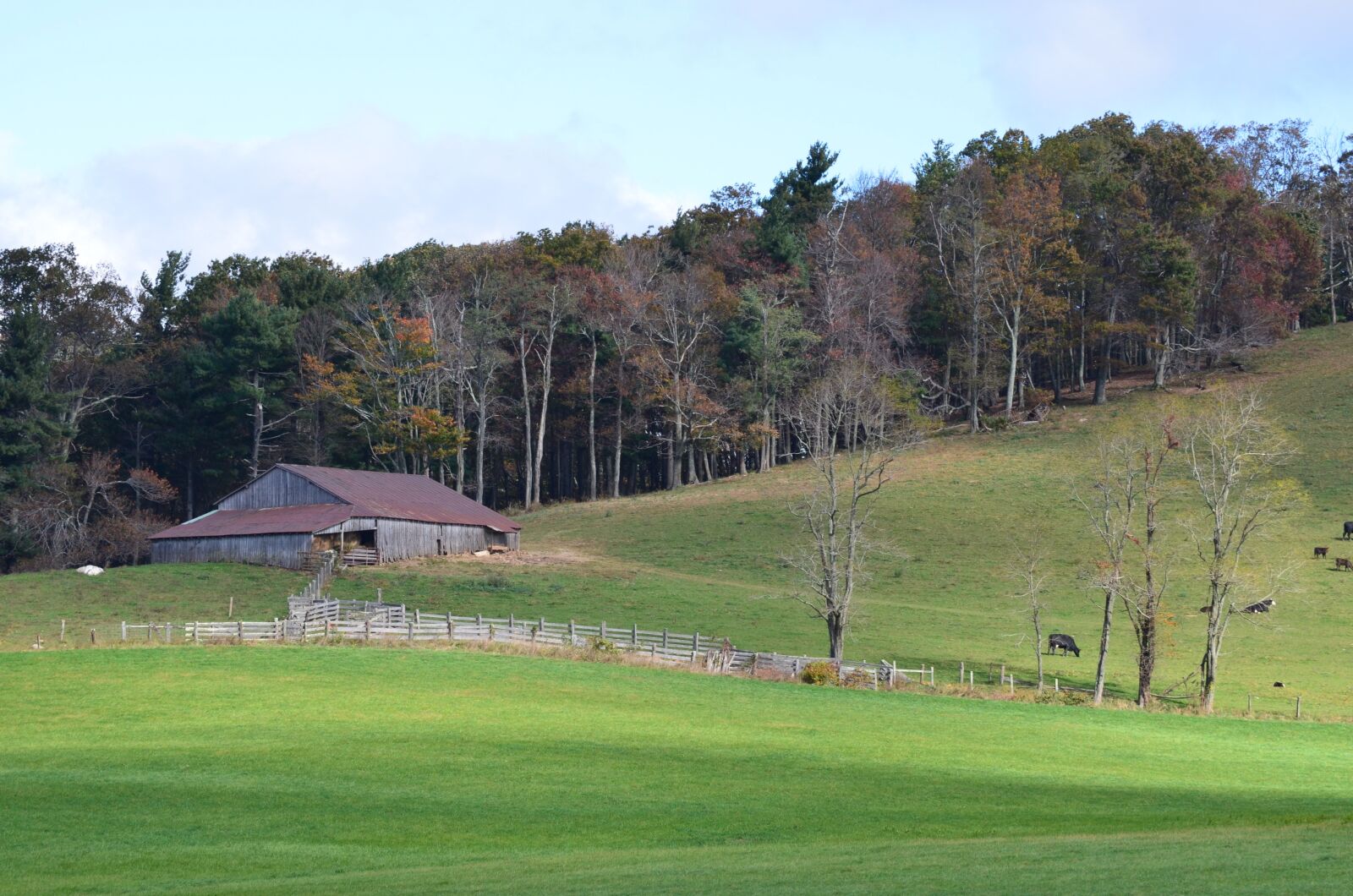 Nikon D5100 sample photo. Farm, landscape, field photography