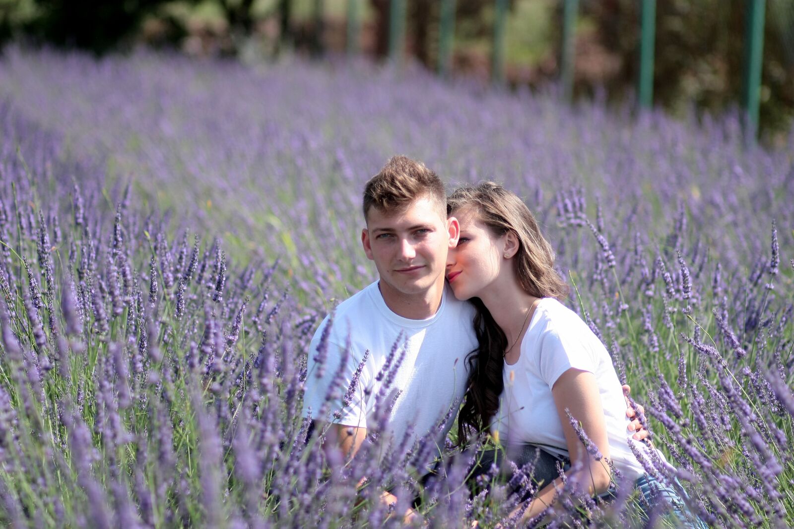 Canon EOS 450D (EOS Rebel XSi / EOS Kiss X2) sample photo. Couple, lavender, love photography