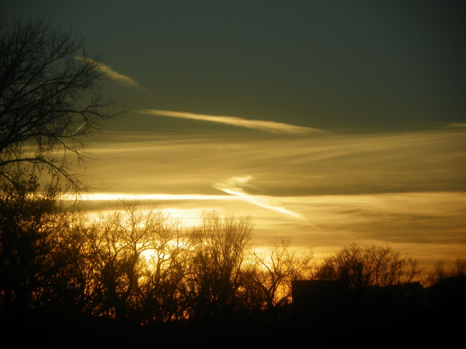 Kodak EasyShare Z981 sample photo. Trees, sunset, wisps photography