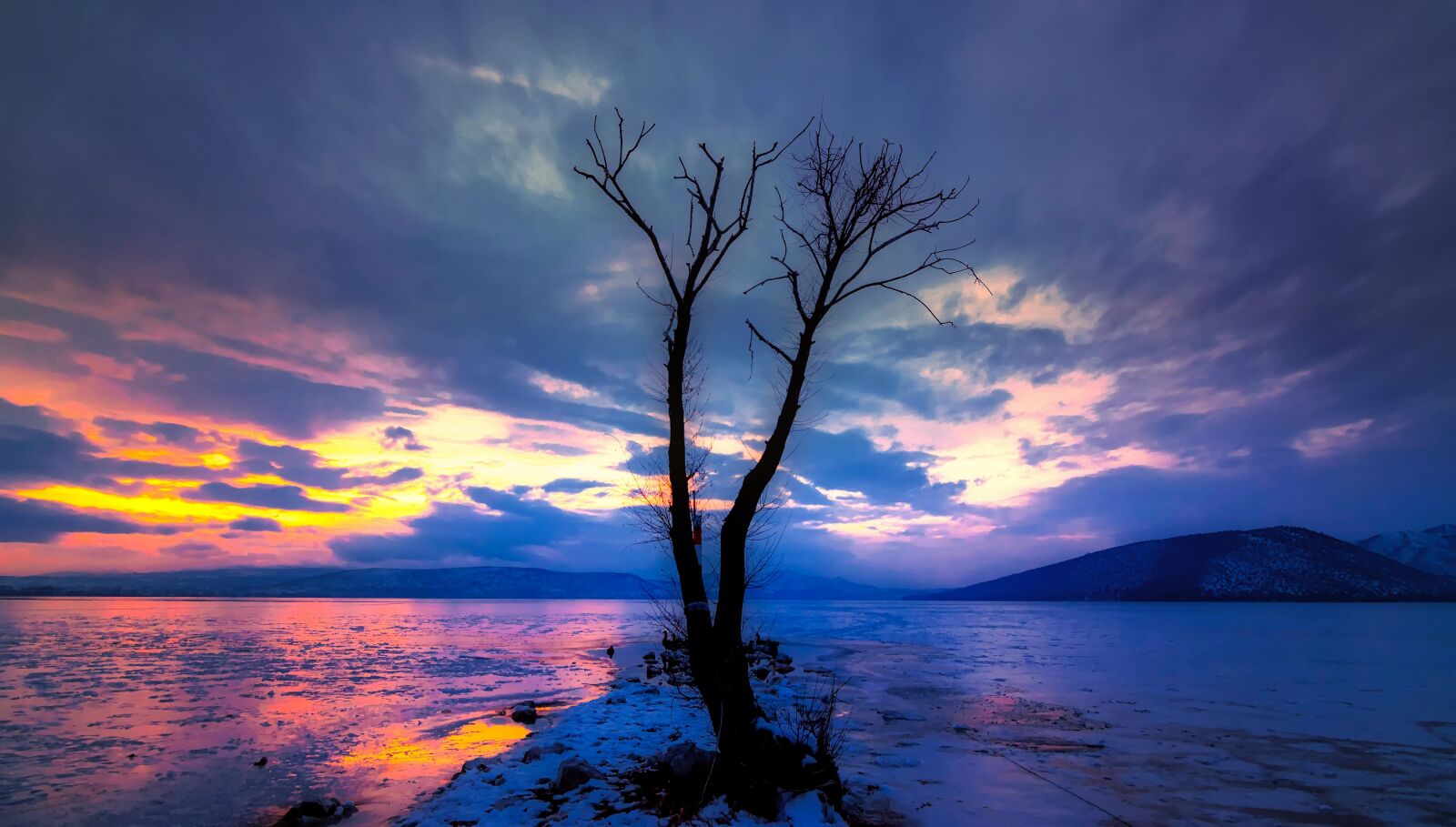 Tokina AT-X Pro 11-16mm F2.8 DX II sample photo. Tree, lonely, lake photography
