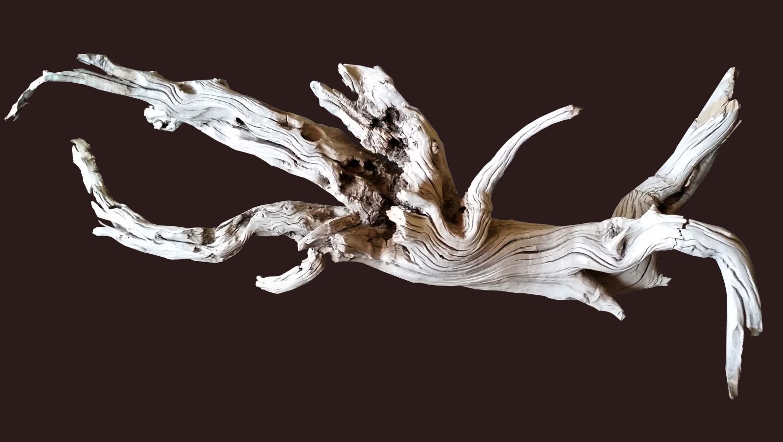 Samsung Galaxy S5 sample photo. Driftwood, decoration, shape photography