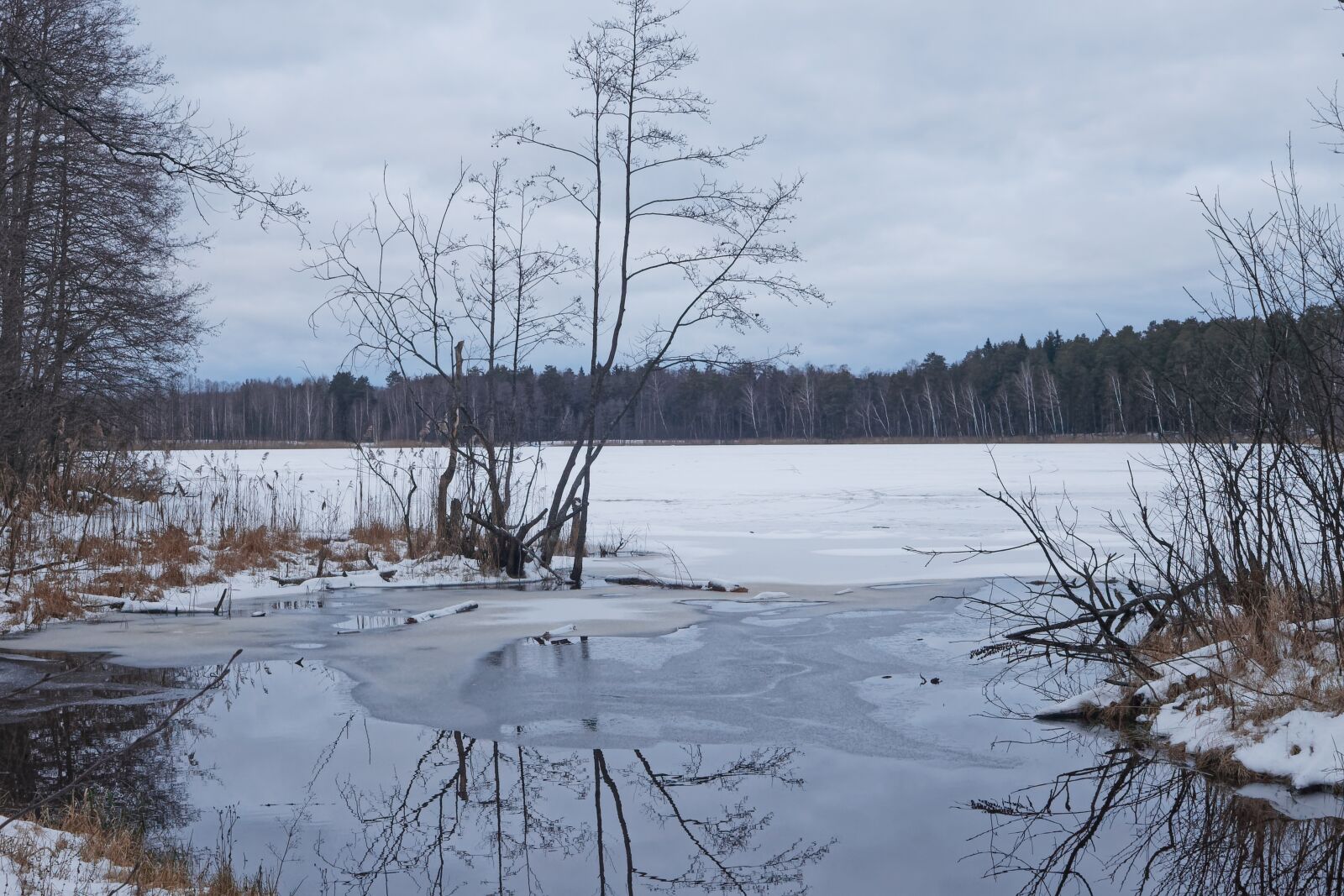 Canon EOS 500D (EOS Rebel T1i / EOS Kiss X3) sample photo. Winter, snow, water photography