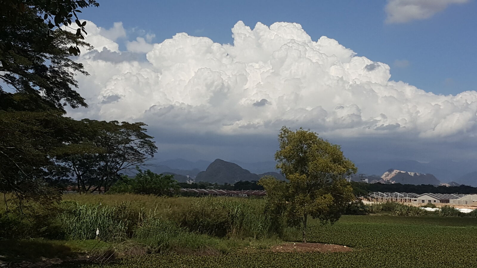 Samsung Galaxy Note5 sample photo
