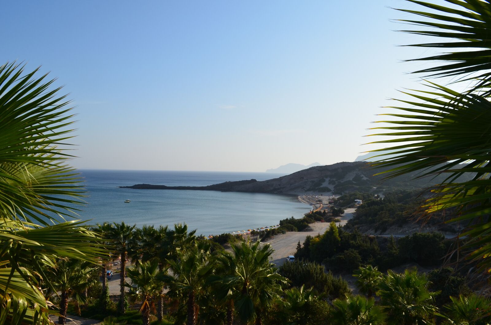 Nikon D5100 sample photo. View, palm trees, beach photography