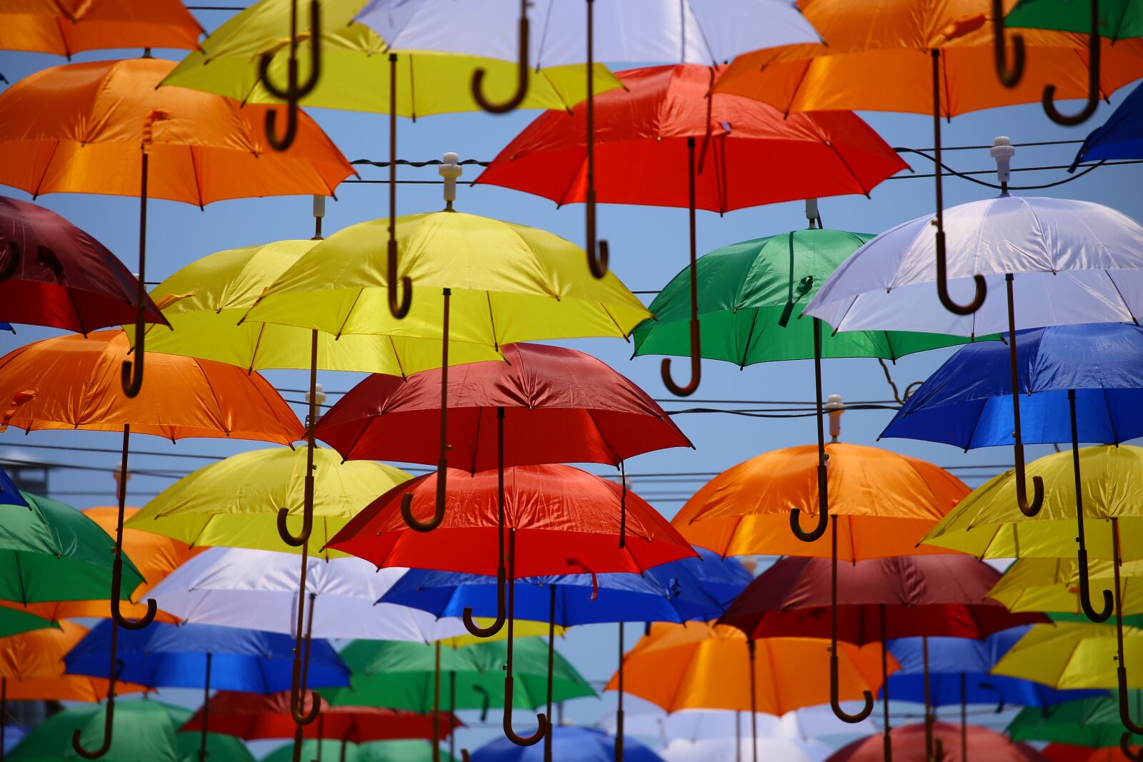 Canon EOS 5D Mark III sample photo. Colorful, colourful, hd wallpaper photography