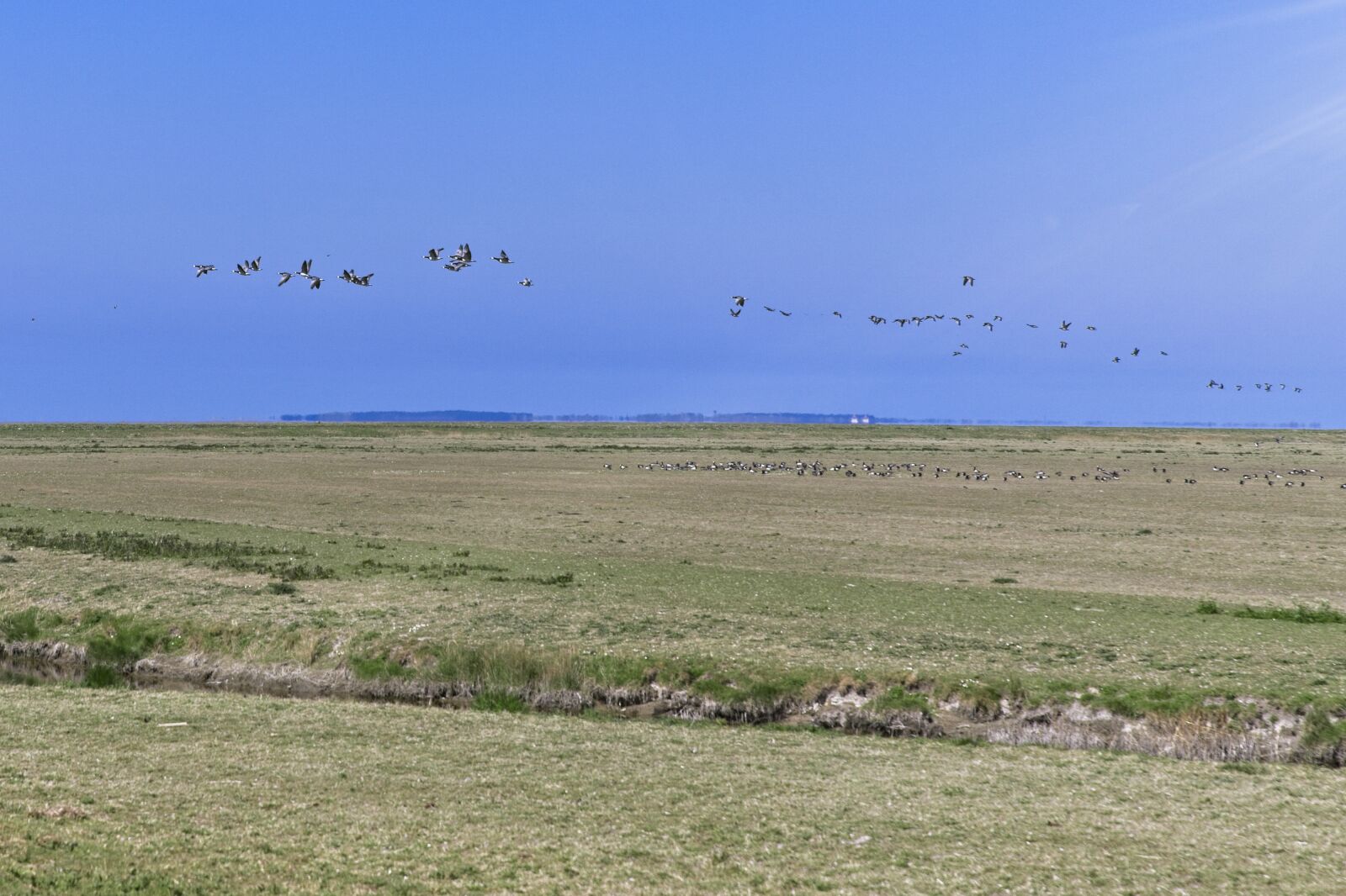 Tamron SP 24-70mm F2.8 Di VC USD G2 sample photo. Noorderleech, friesland, wad photography