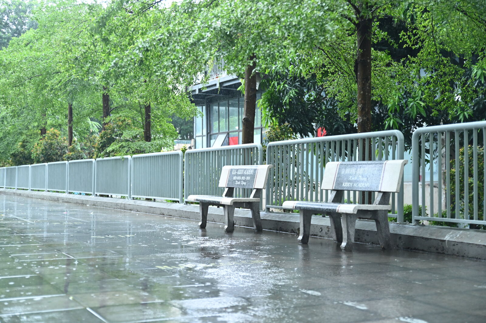 Nikon D780 sample photo