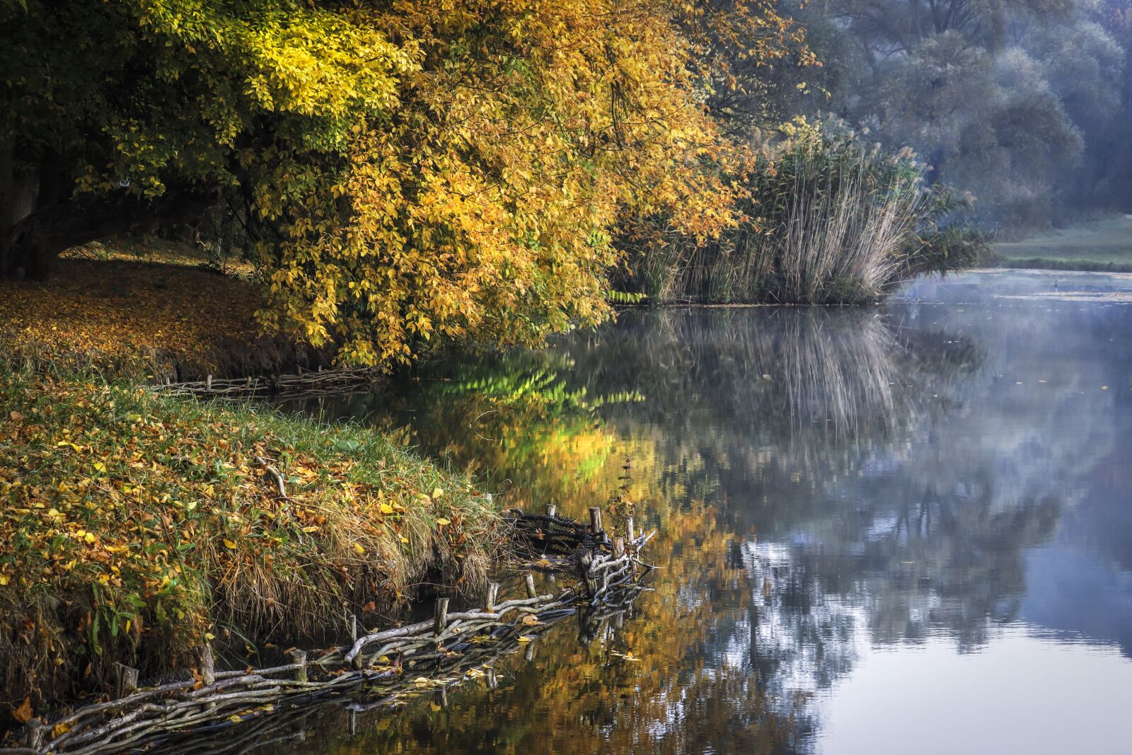 Canon EOS 80D sample photo. Dawn, autumn, lake photography