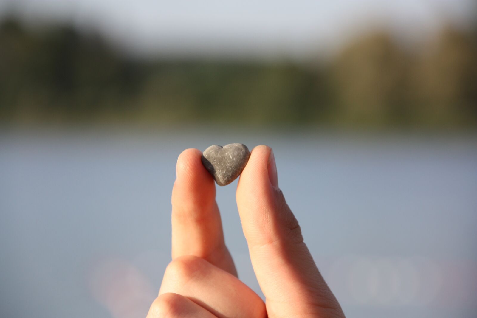Canon EOS 450D (EOS Rebel XSi / EOS Kiss X2) sample photo. Heart, stone, love photography