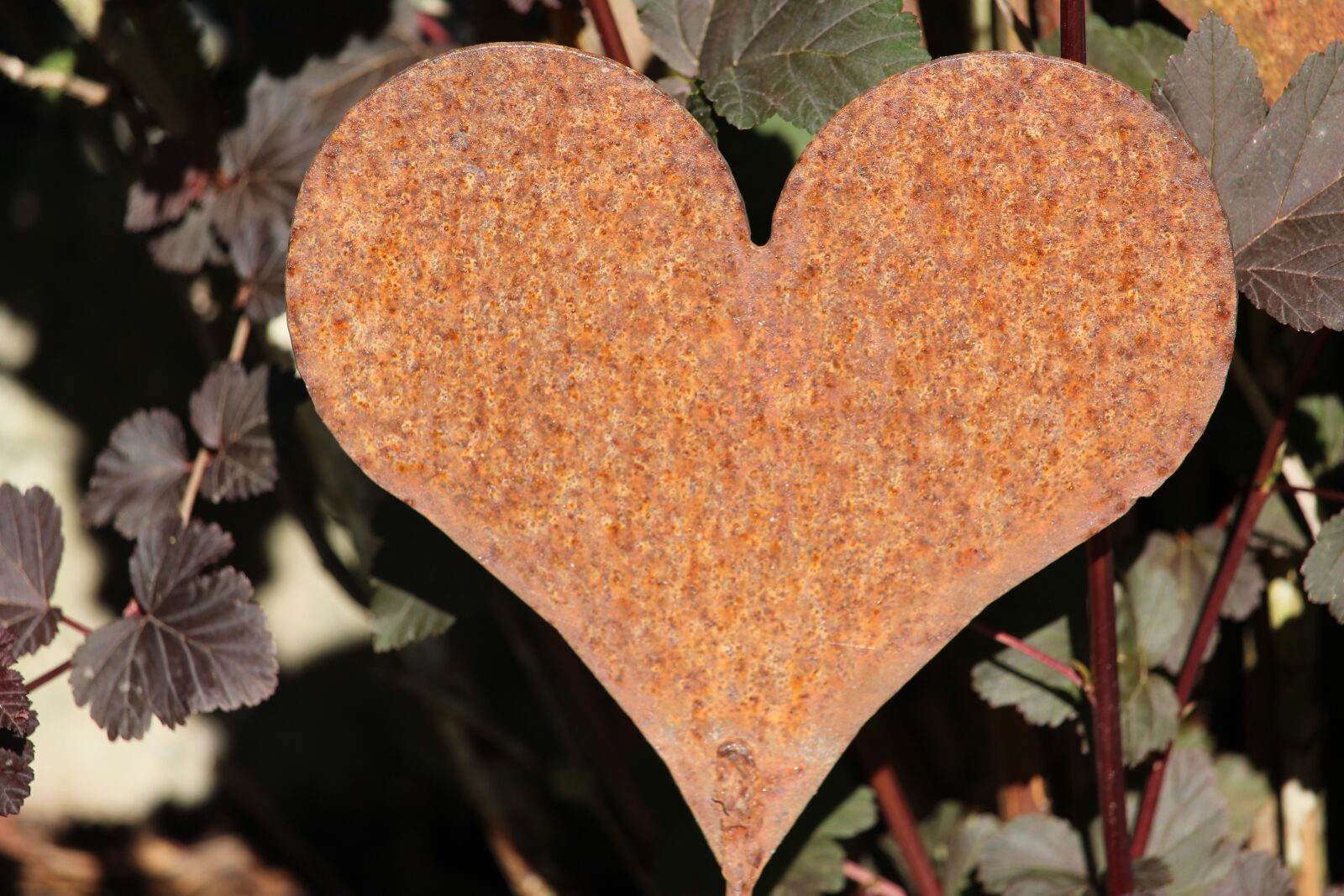 Canon EOS 1200D (EOS Rebel T5 / EOS Kiss X70 / EOS Hi) sample photo. Heart, love, rust photography
