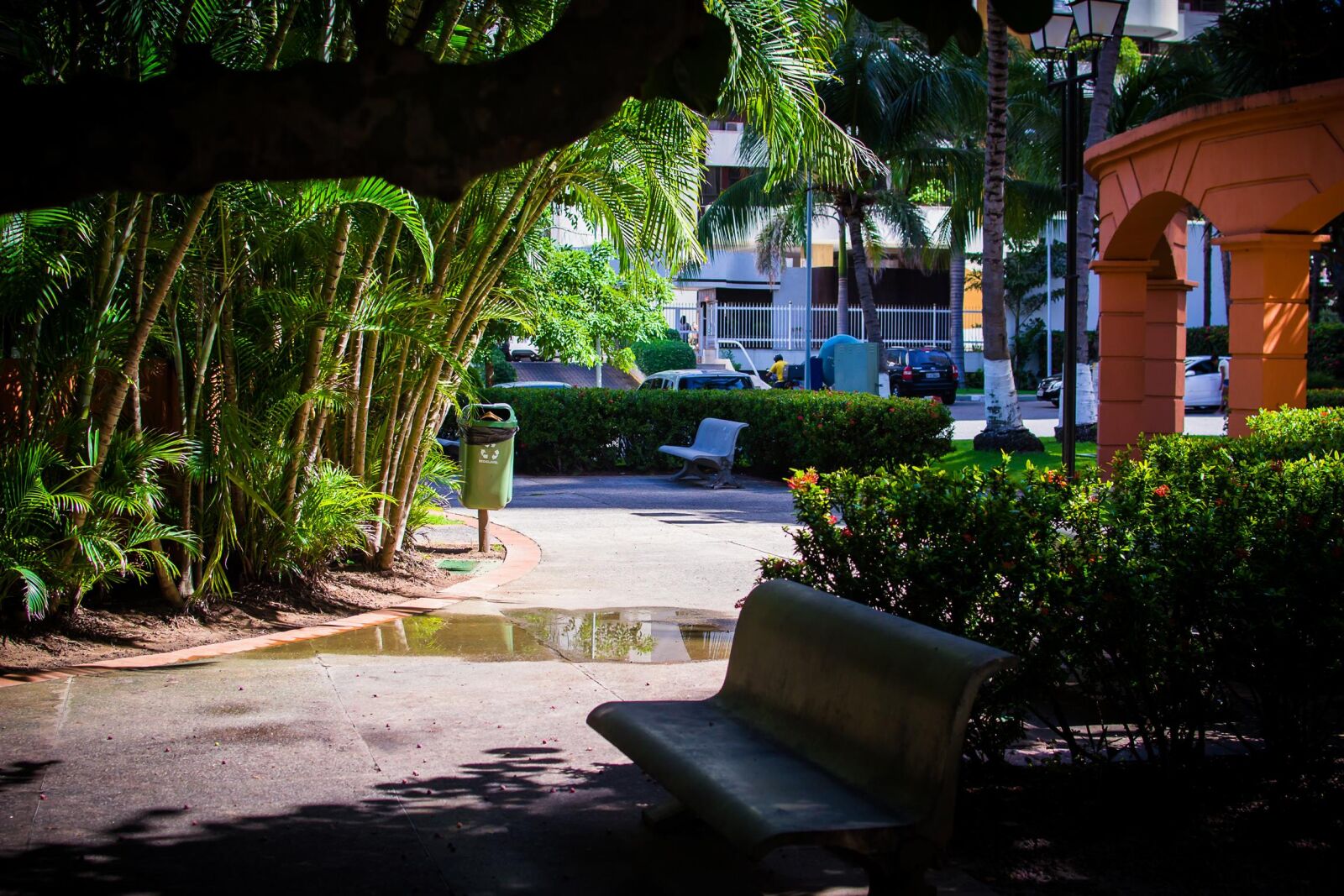 Nikon D3100 sample photo. 35mm, d3100, nikon, photography photography