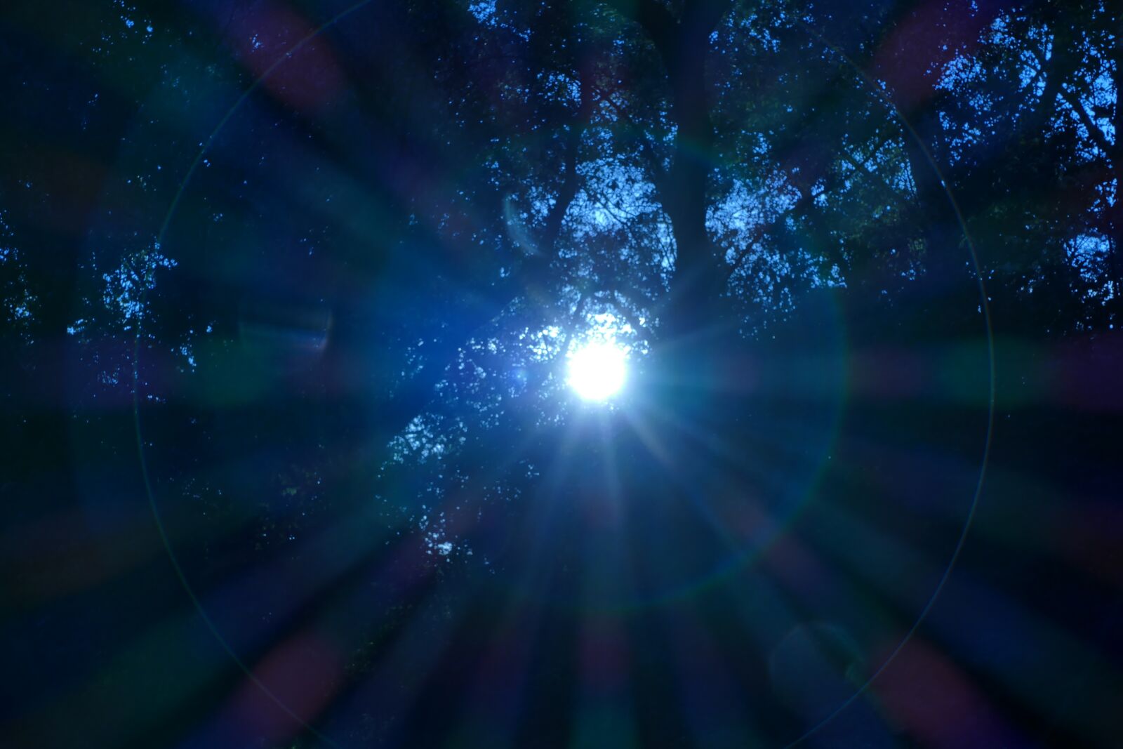 Panasonic Lumix DMC-FZ1000 sample photo. Sun, rays, nature photography