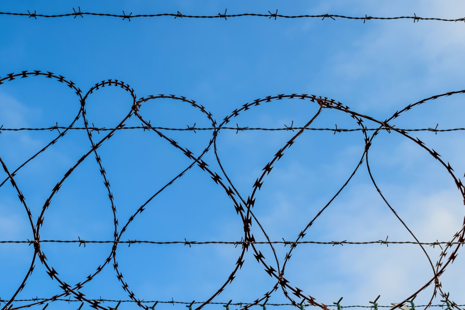Nikon D3300 sample photo. Barbed wire, wire, fence photography