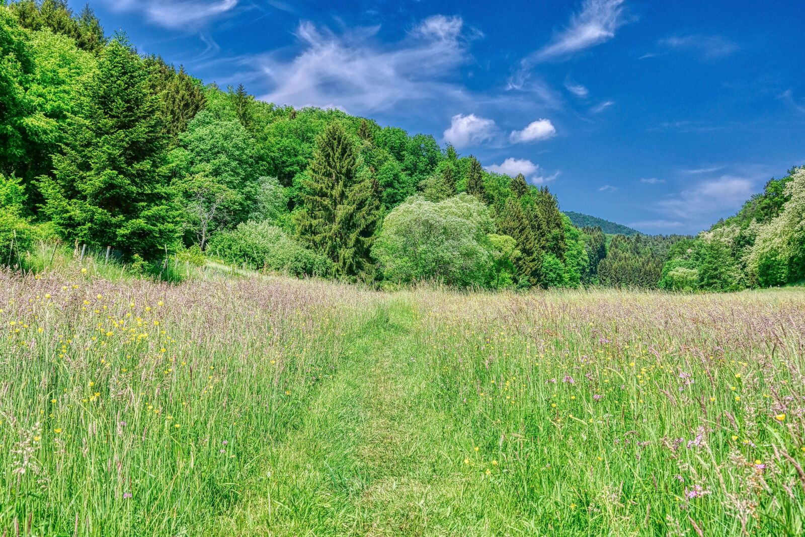 Nikon D5300 sample photo. Front weidenthal has, gorgeous photography