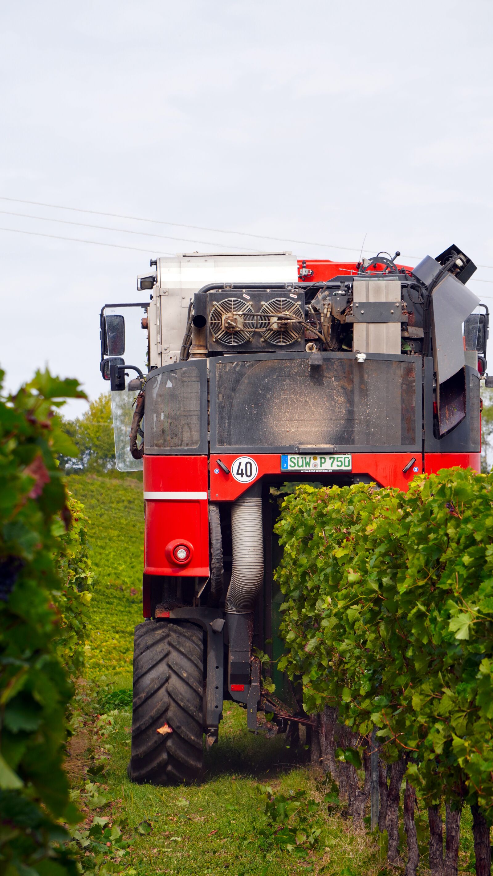 Sony E 55-210mm F4.5-6.3 OSS sample photo. Harvester, vintage, wine harvest photography