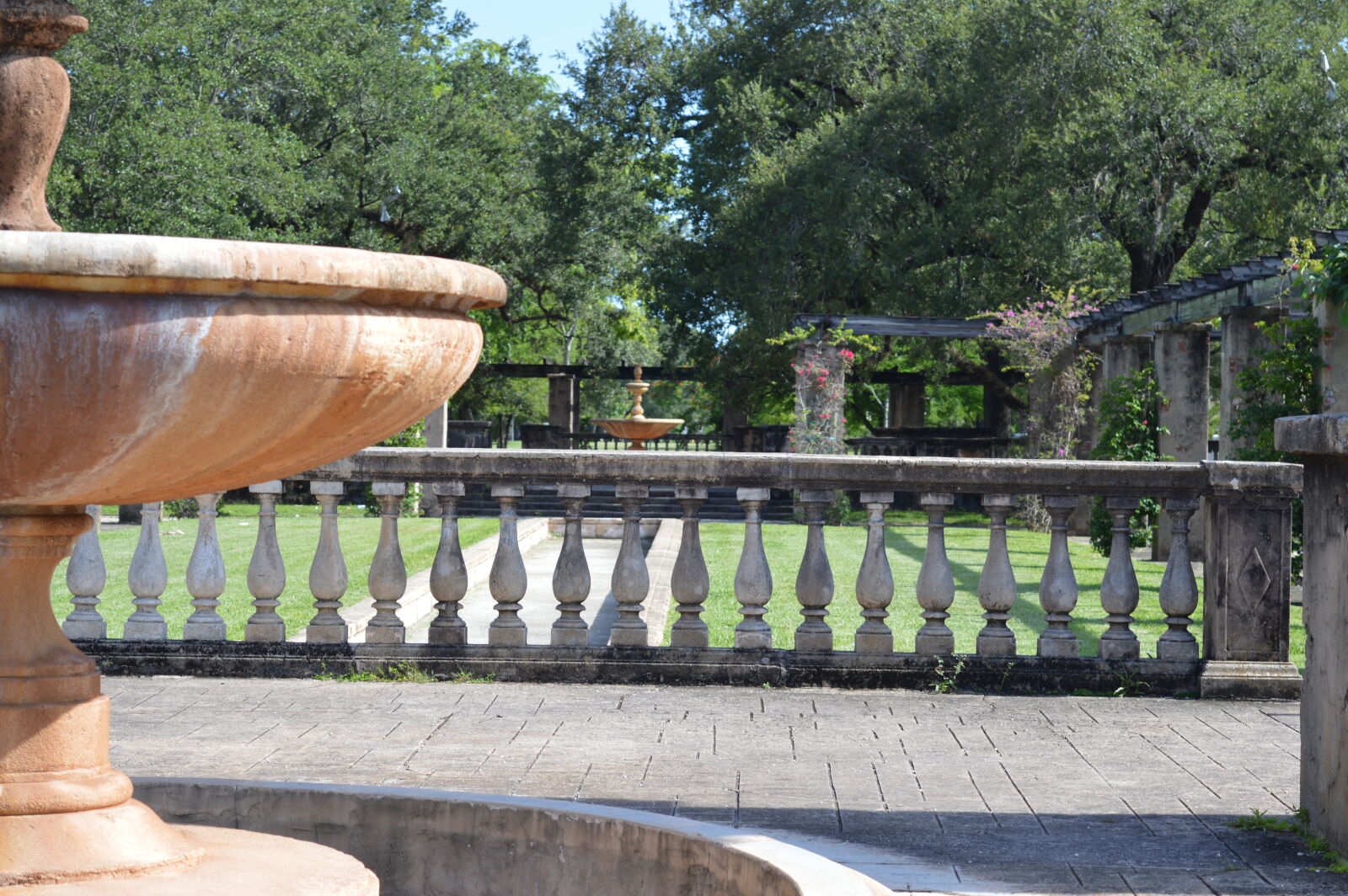 Nikon D3200 sample photo. Coral, gables, country, club photography