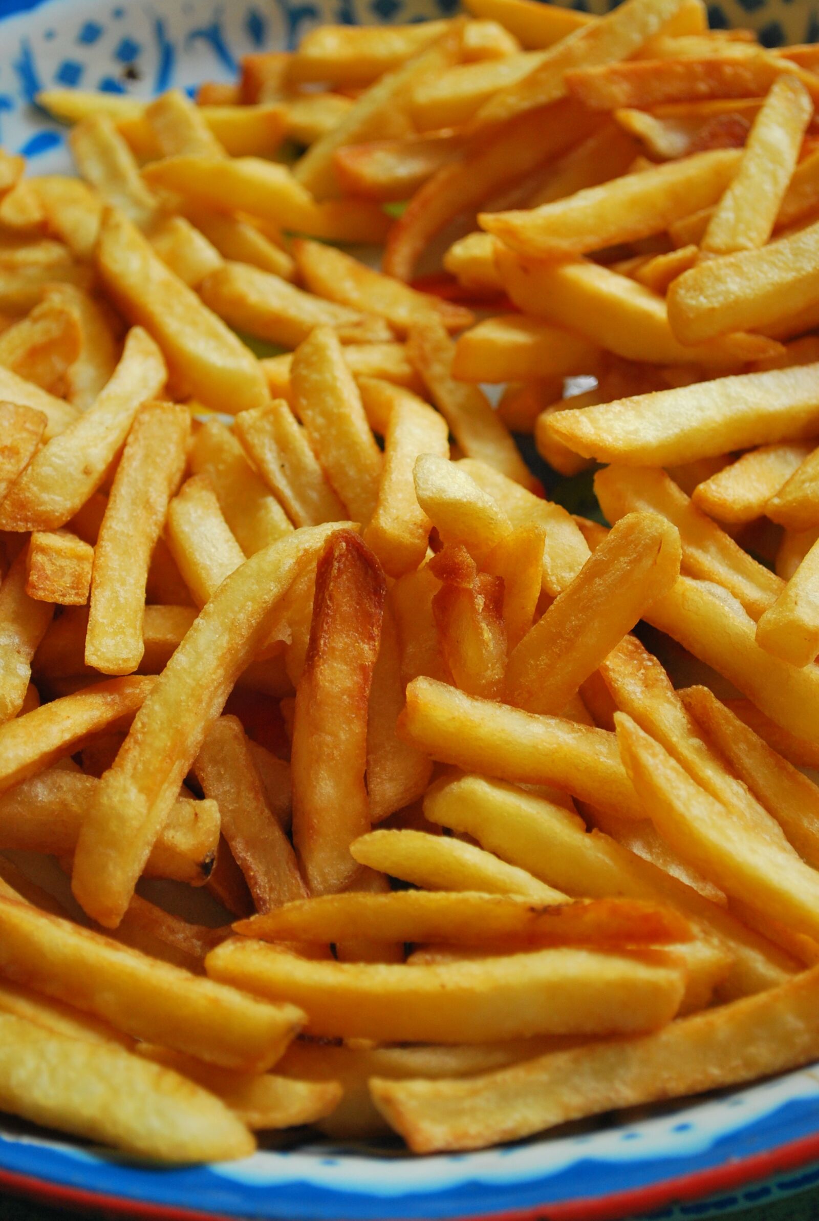 Nikon D60 sample photo. Fried, food, fry photography