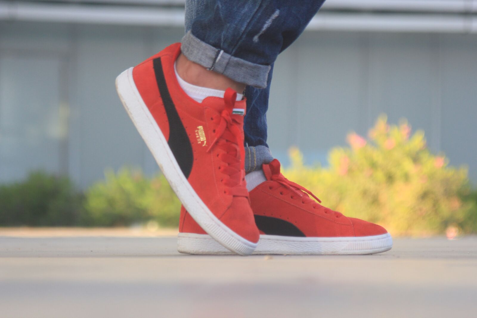 Canon EOS 550D (EOS Rebel T2i / EOS Kiss X4) sample photo. Puma, reed, shoes photography