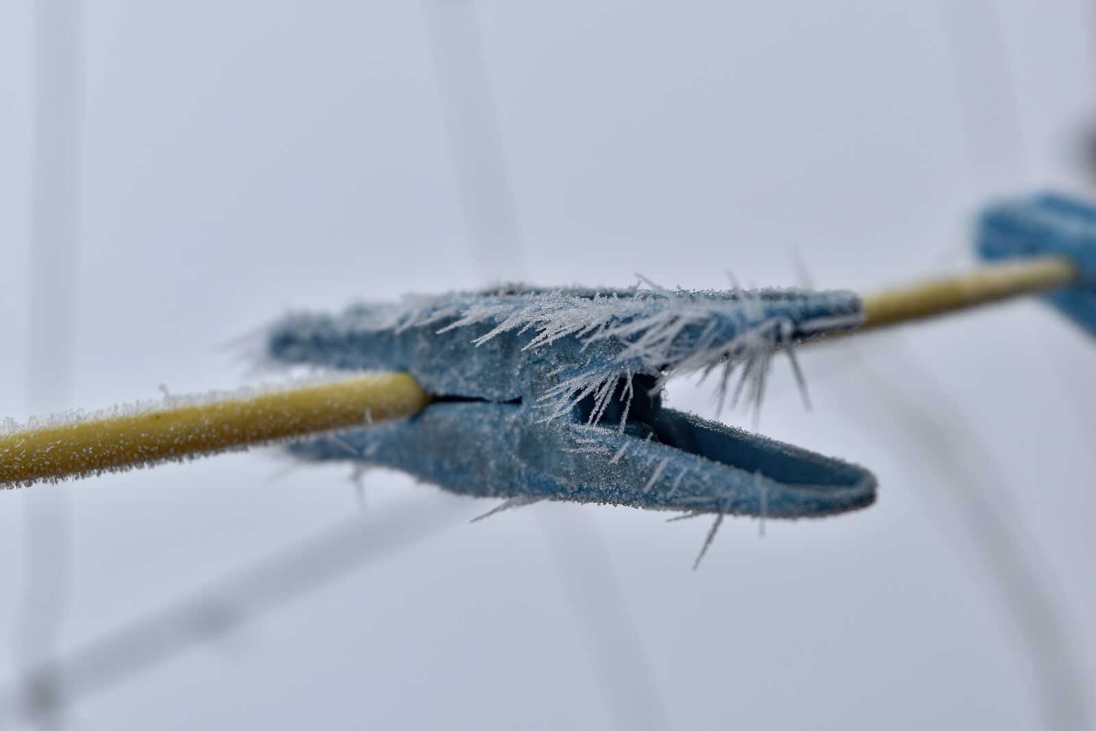 Nikon D5500 sample photo. Clothesline, freeze, plastic, wire photography