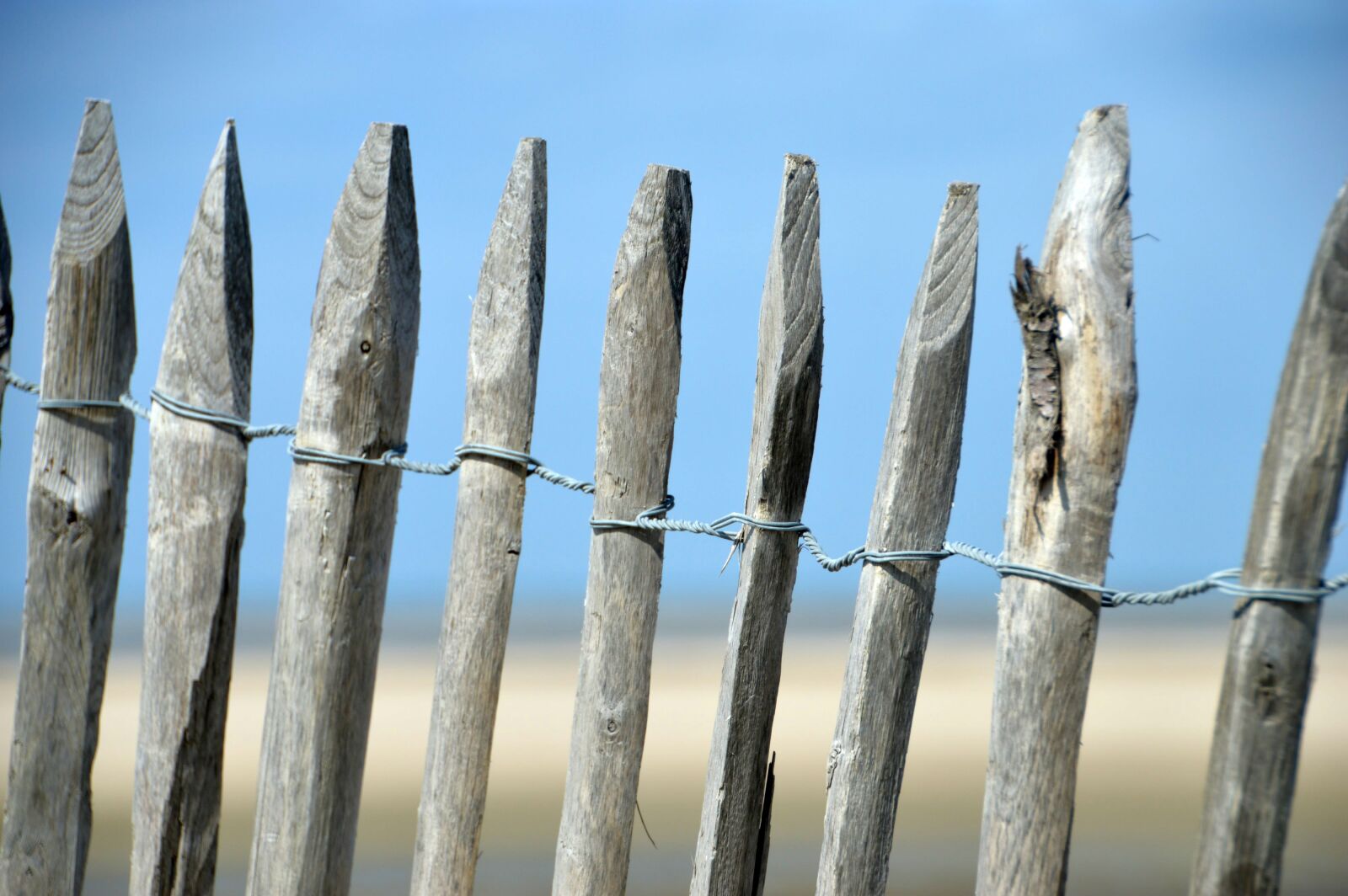 Nikon D3200 sample photo. Sea, beach, hauts de photography