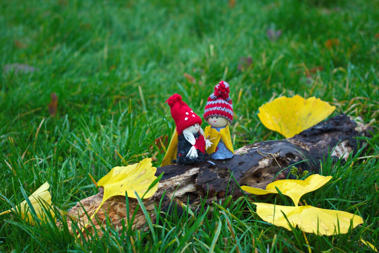 Nikon D3300 sample photo. Autumn love story, autumn photography