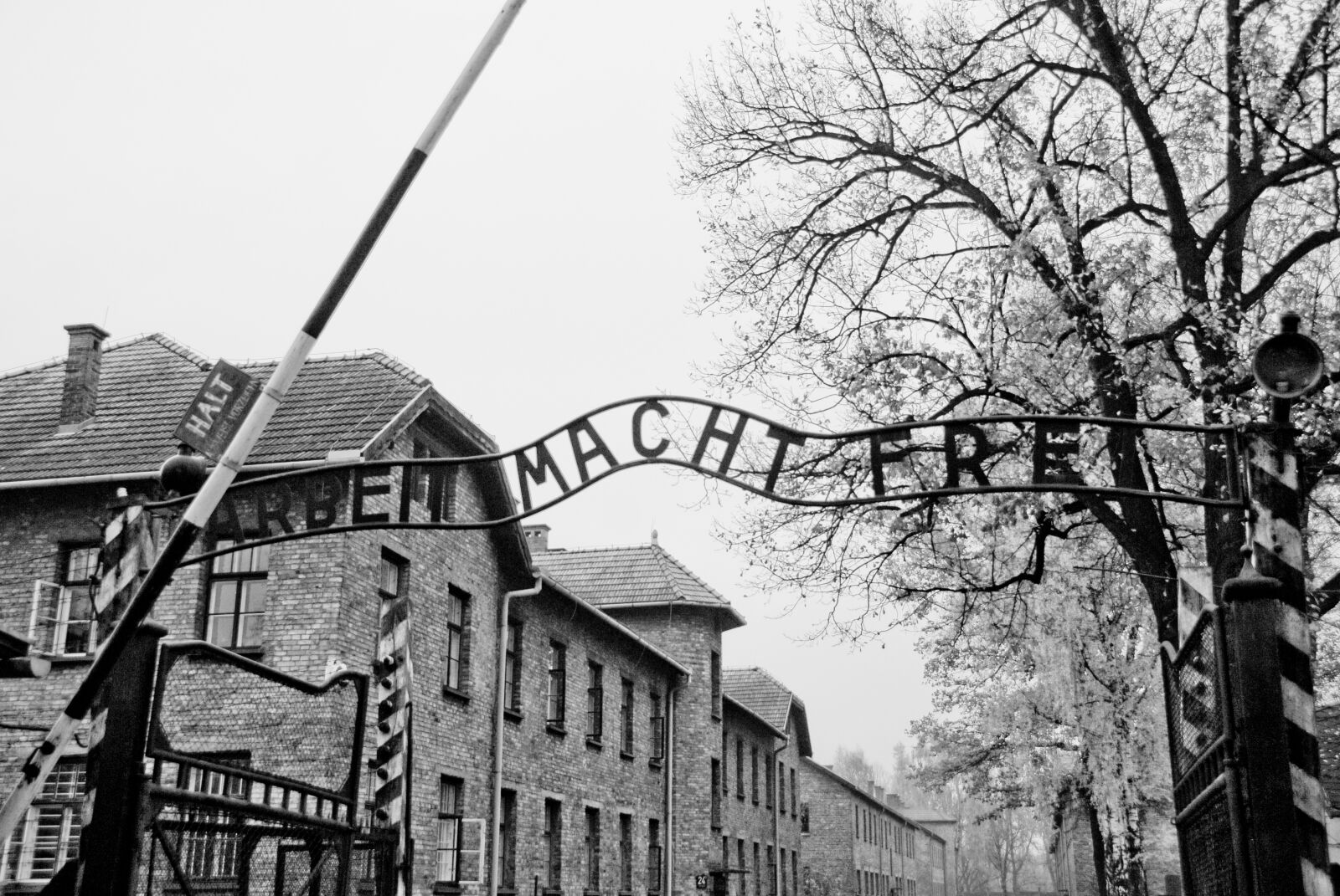 Nikon D200 sample photo. Auschwitz, gate, holocaust photography