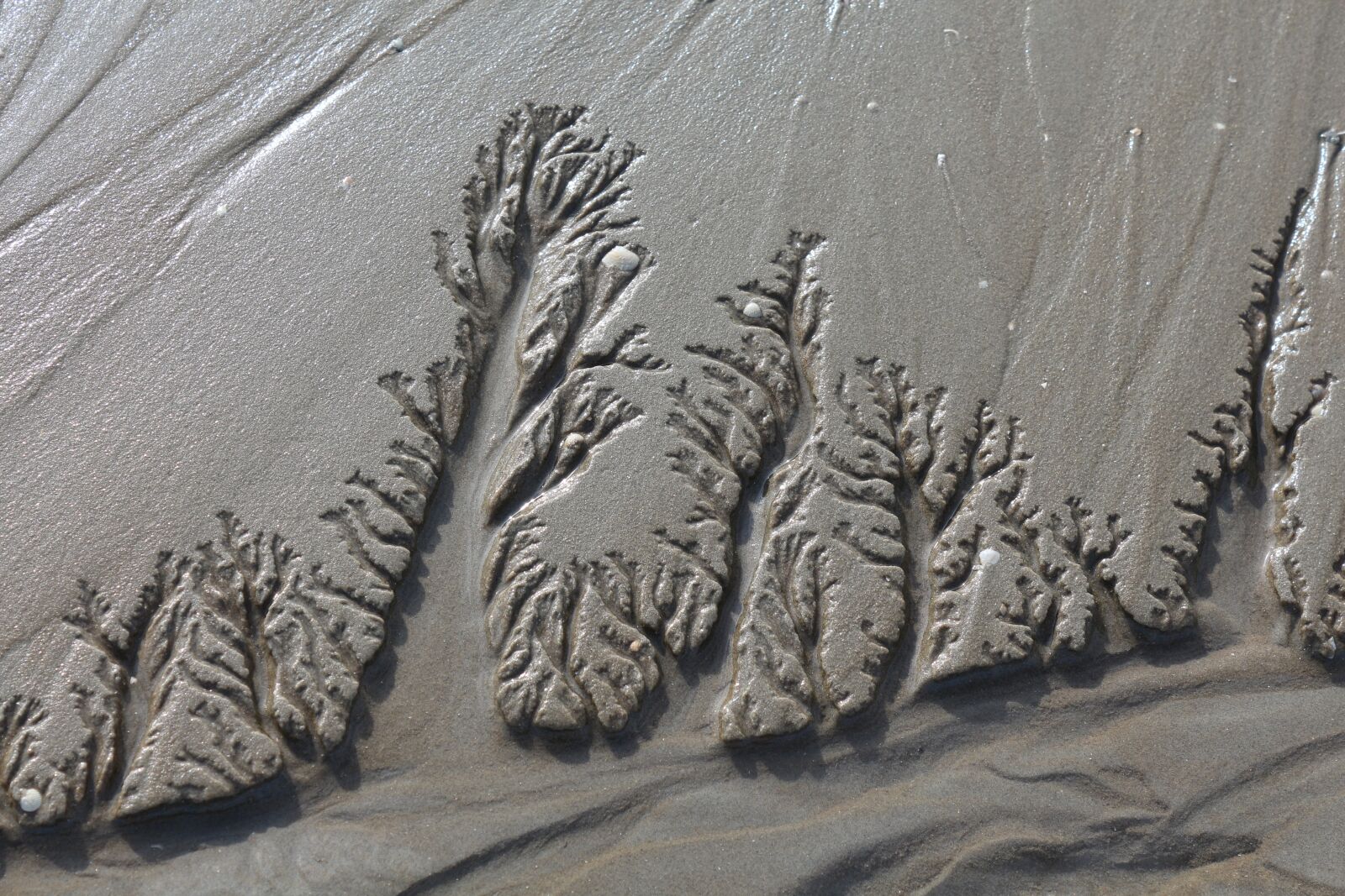 Canon EOS 650D (EOS Rebel T4i / EOS Kiss X6i) sample photo. North sea, wadden sea photography
