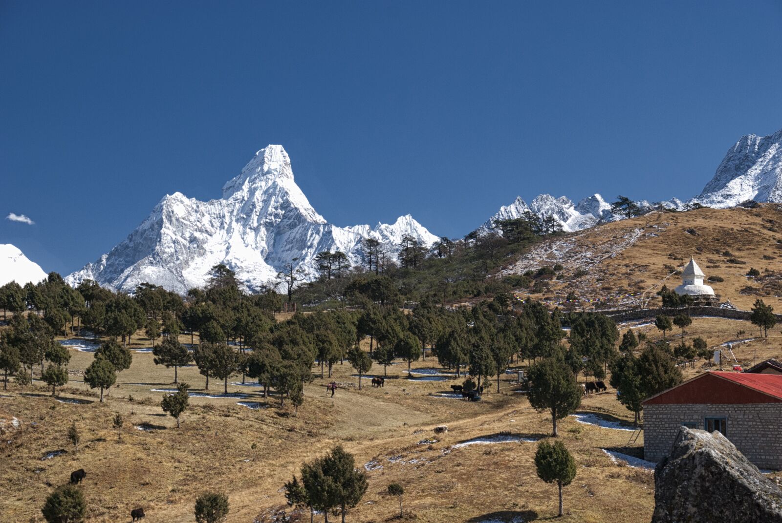 Nikon D80 sample photo. Nepal, himalayas, mountain photography