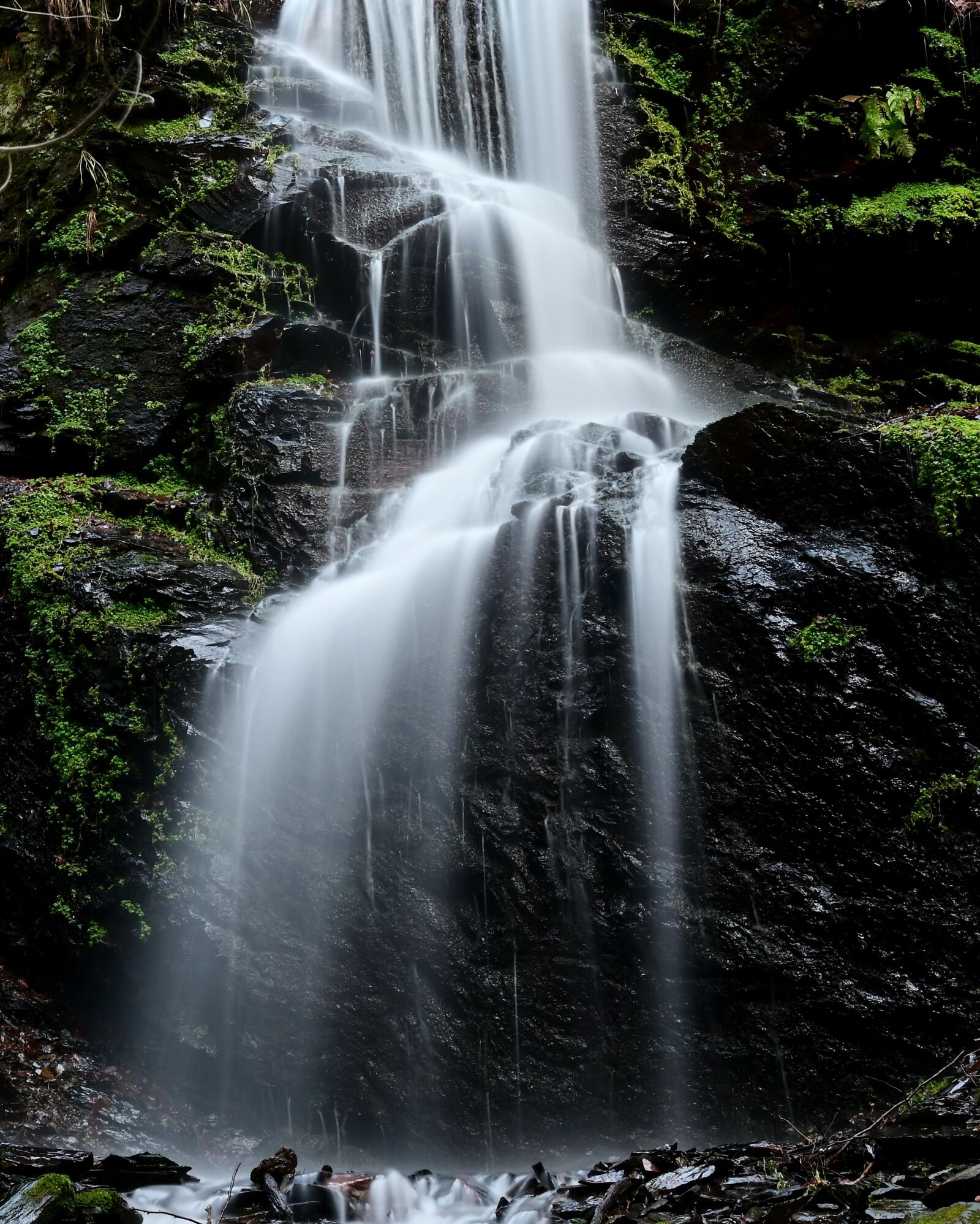 Nikon Nikkor Z 24-70mm F2.8 S sample photo. Water, waterfall, steinach photography