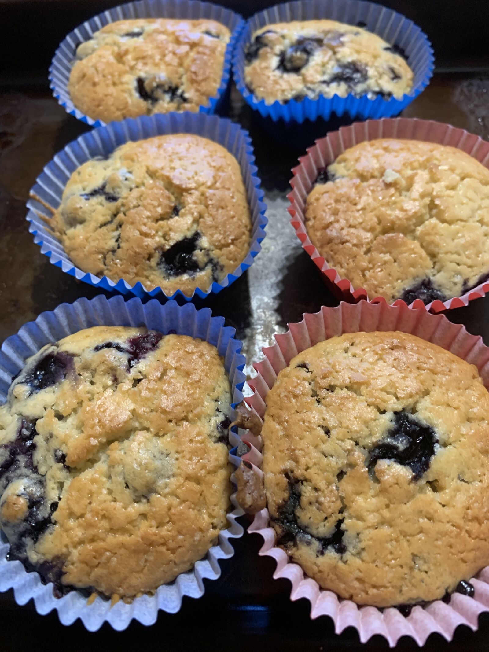 Apple iPhone XR sample photo. Blueberry muffins, lockdown, baking photography
