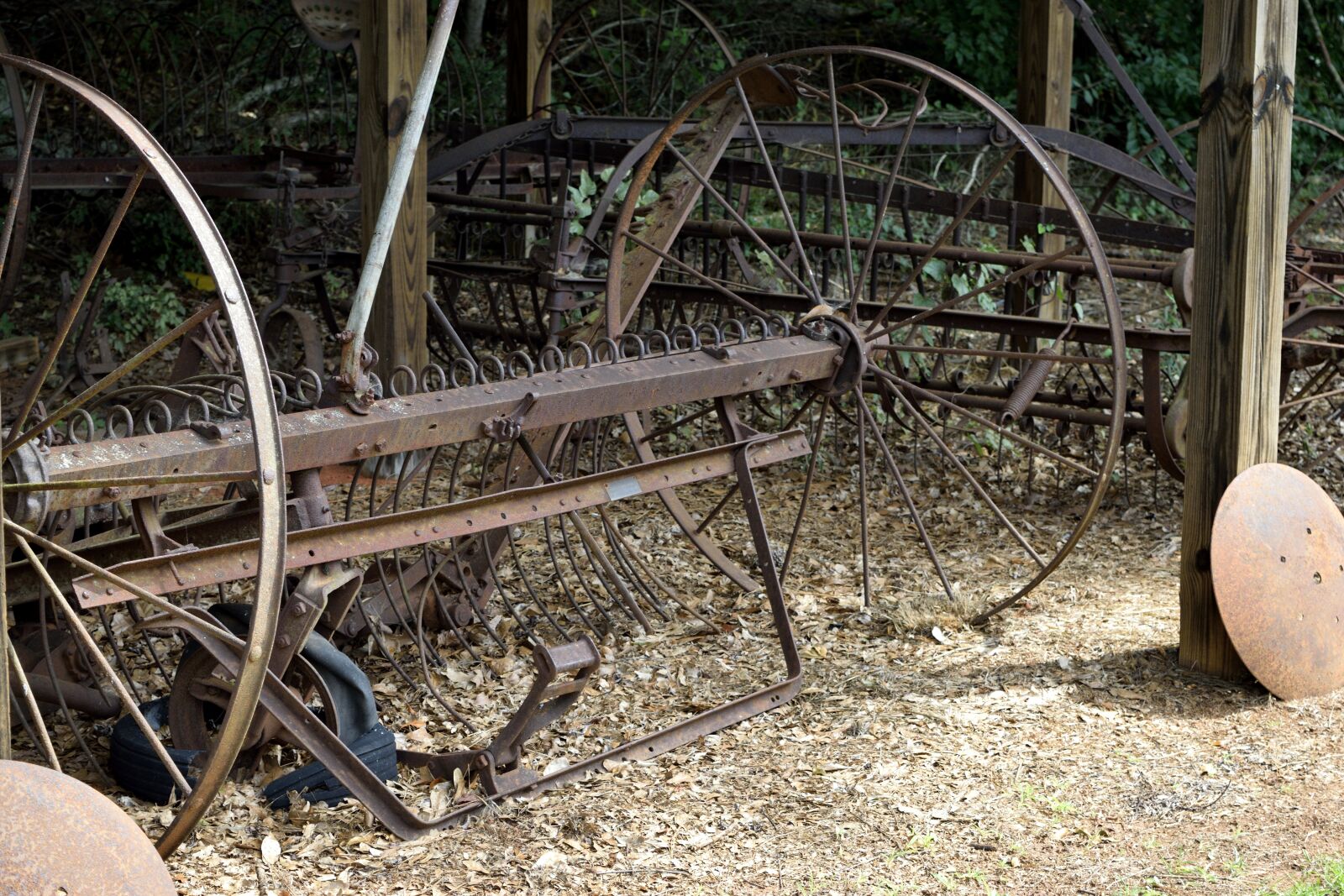 Nikon D3300 sample photo. Rustic, old, rusty photography