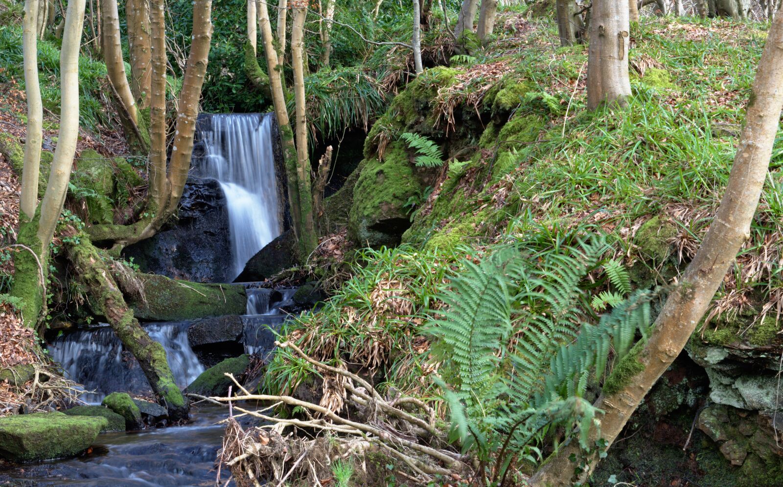 Nikon D5500 sample photo. Waterfall stream, burn, water photography